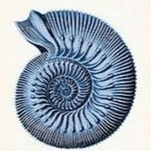 Meet your Posher, Timothy